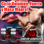 Ciclo Volumen, Fuerza y Masa Magra. Bravaria Labs - Excelente ciclo para masa y volumen con la mejor calidad disponible.
